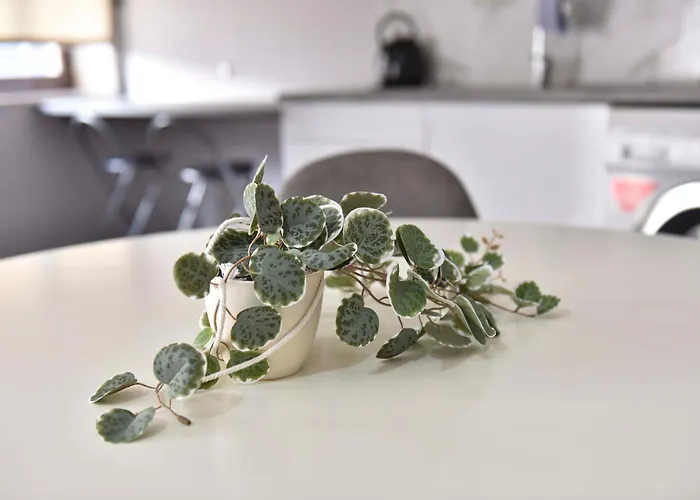 Beira Mar Loft Appartement